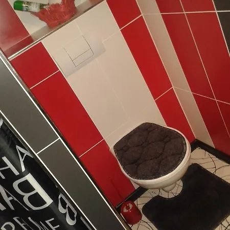 Maison d'hôtes Ubytovani U Cerne Pani Třeboň