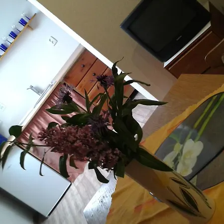 Ubytovani U Cerne Pani Třeboň