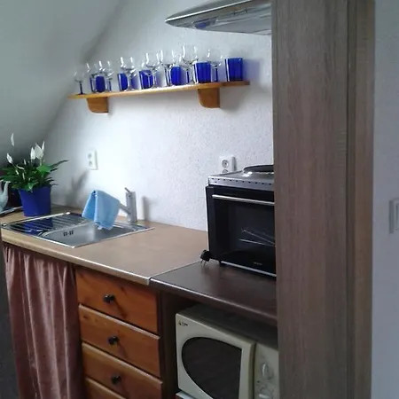 Maison d'hôtes Ubytovani U Cerne Pani *